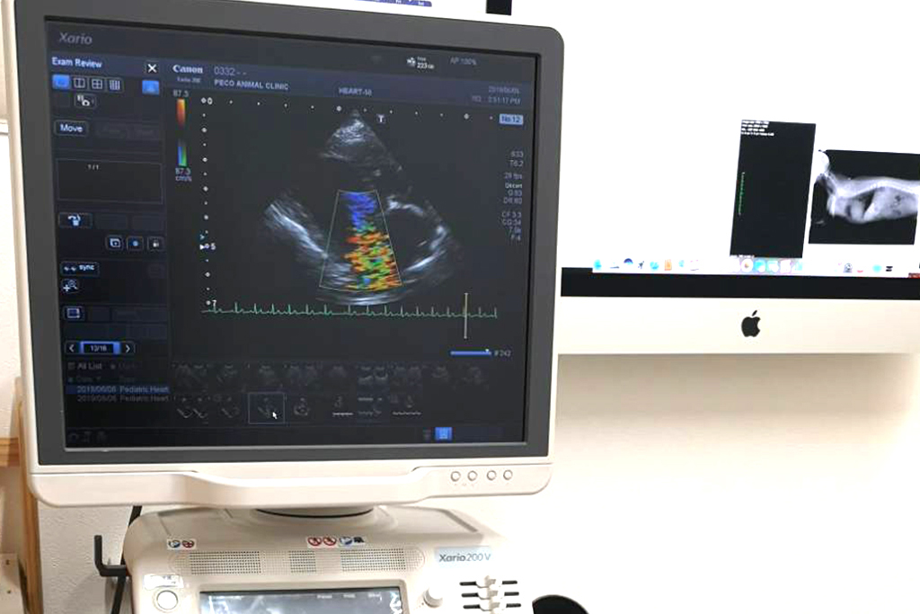 戸田公園駅・ペコ動物病院