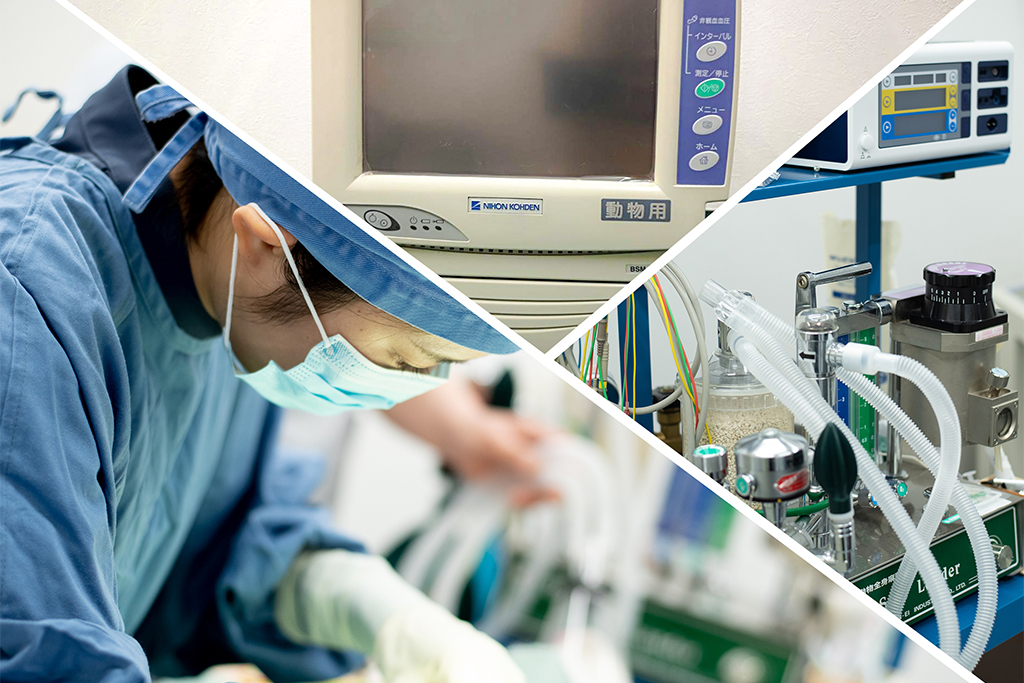 戸田公園駅・ペコ動物病院