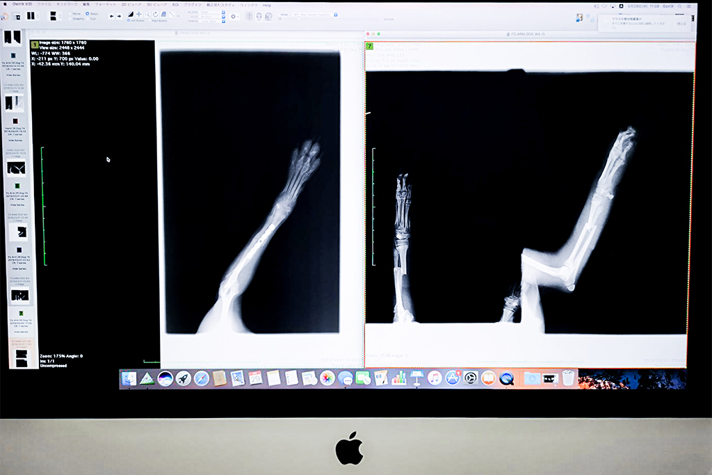 戸田公園駅・ペコ動物病院